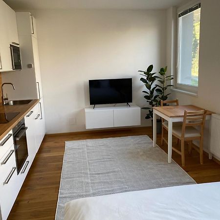 Vila Vinice プラハ エクステリア 写真